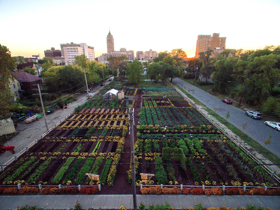 Michigan Urban Farming Initiative